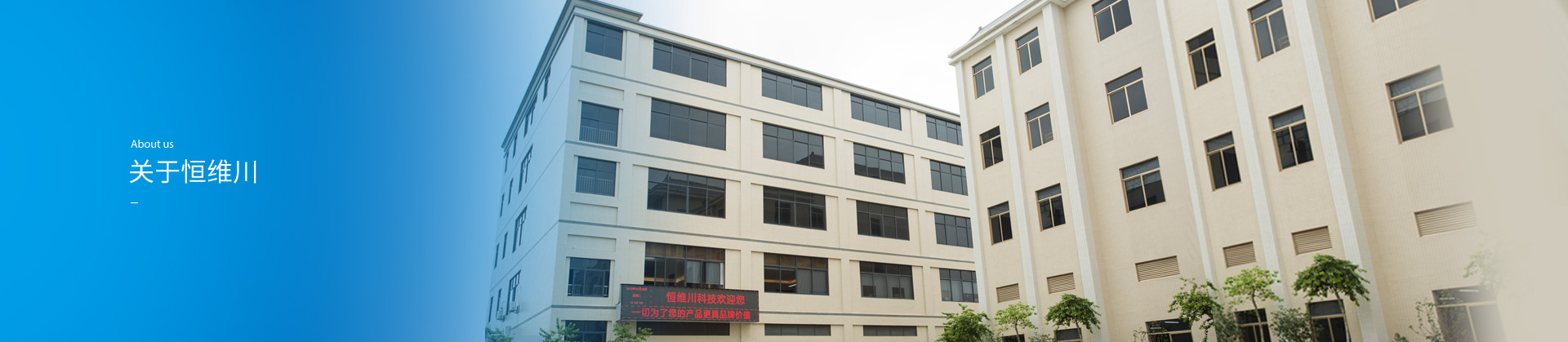 东莞市恒维川塑胶模具科技有限公司